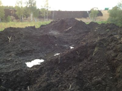 Торф верховой